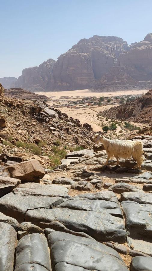 Wadi Rum Nabatean Camp Hotel Ngoại thất bức ảnh