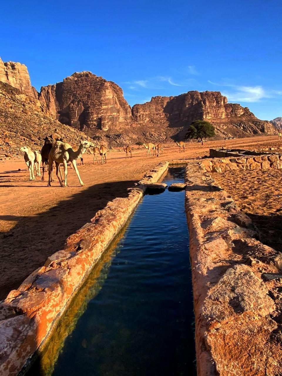 Wadi Rum Magic Nature Camp Ngoại thất bức ảnh