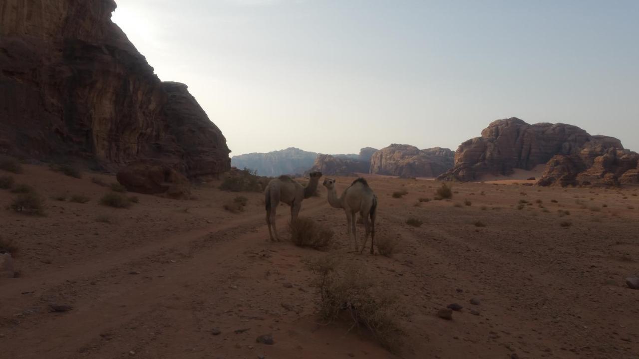 Wadi Rum Nabatean Camp Hotel Ngoại thất bức ảnh